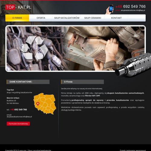 Recykling katalizatorów online