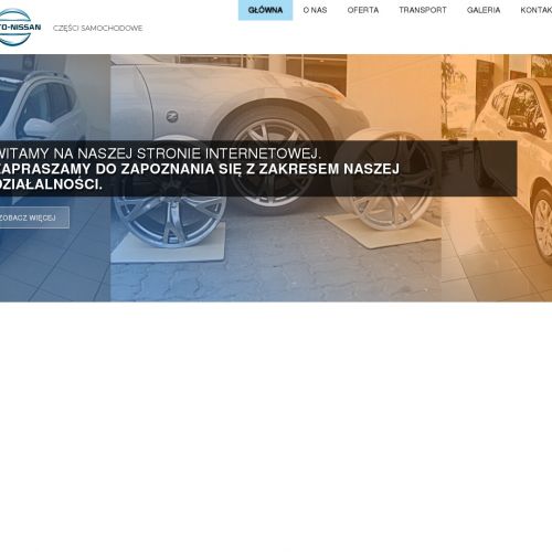 Nissan elementy karoserii