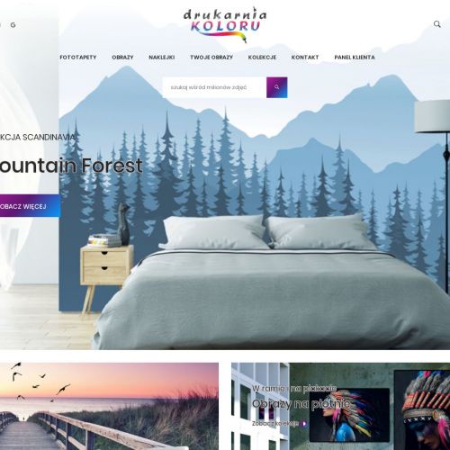 Fototapety ścienne do salonu własny wzór w Wieluniu