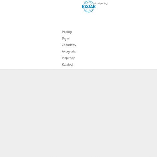 Lublin - drzwi wejściowe