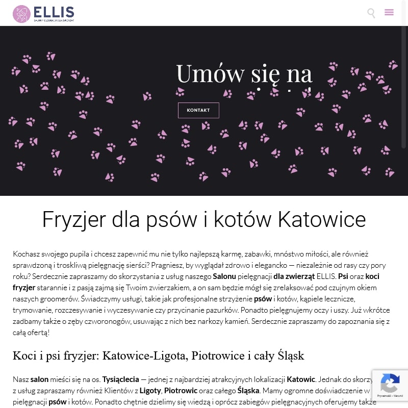 Fryzjer dla zwierząt - Ruda śląska