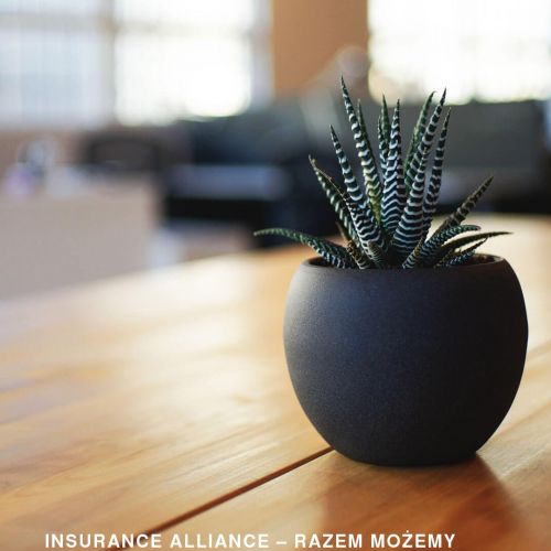 Współpraca z ubezpieczalniami w Gdańsku