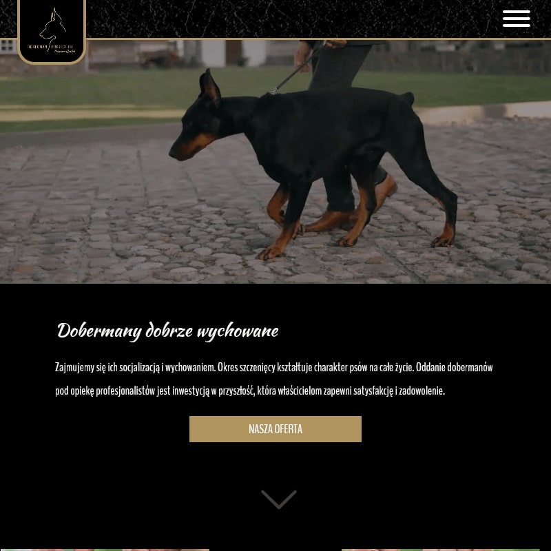 Doberman szczeniaki z rodowodem - Wrocław